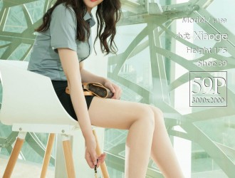 [Liguil丽柜] Model 小戈 - 高跟美腿OL女郎[60P]